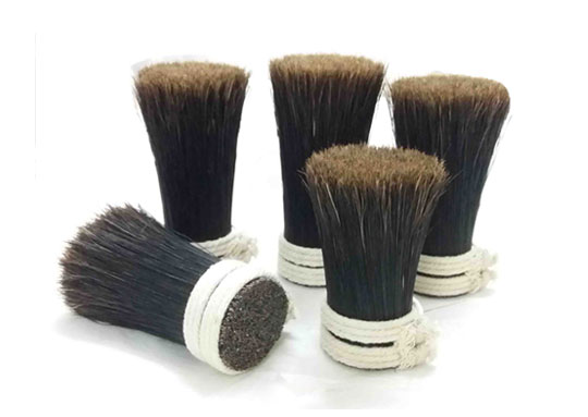 Indian bristle